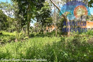 Terreno á venda no condomínio Bougainvillée V em Peruibe