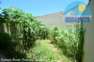 Casa á venda no bairro Park D Aville em Peruíbe
